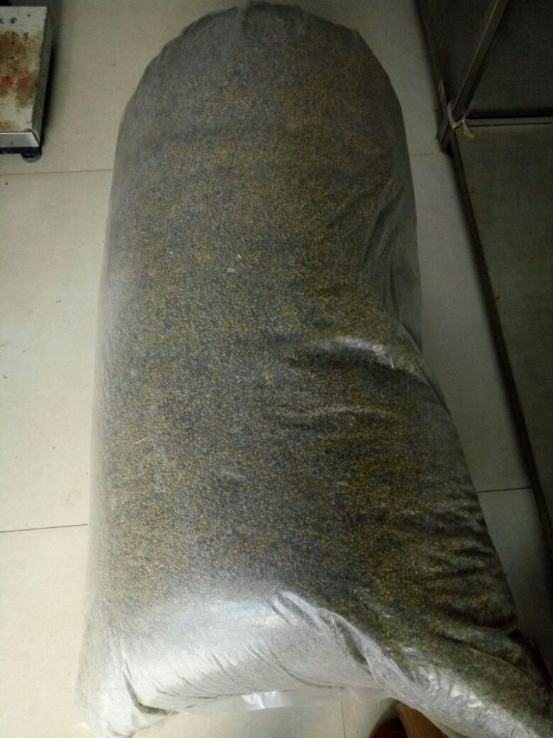 野菊花统货