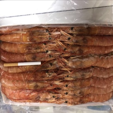 阿根廷红虾