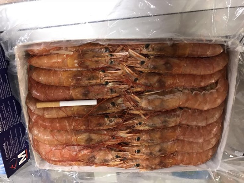 阿根廷红虾