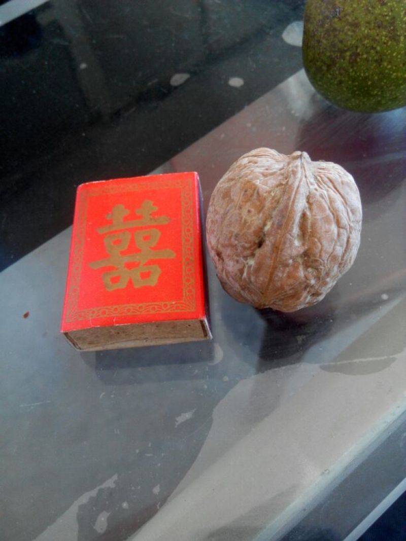 核桃30mm以上去皮