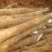 广西阳朔县，新鲜白鬼淮山药，40~80高度，不等大量供应