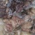 驴肉鲜货