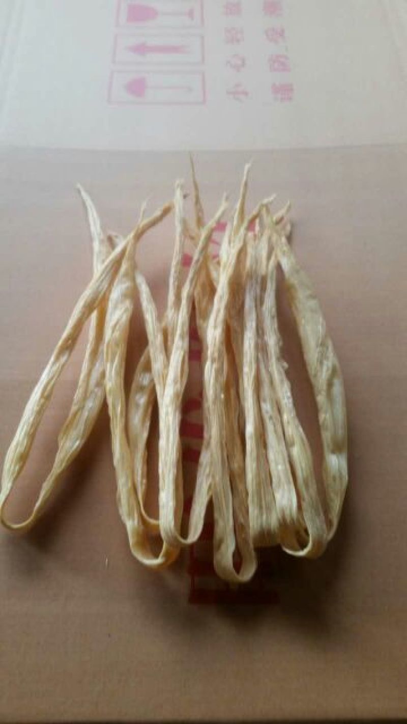 腐竹