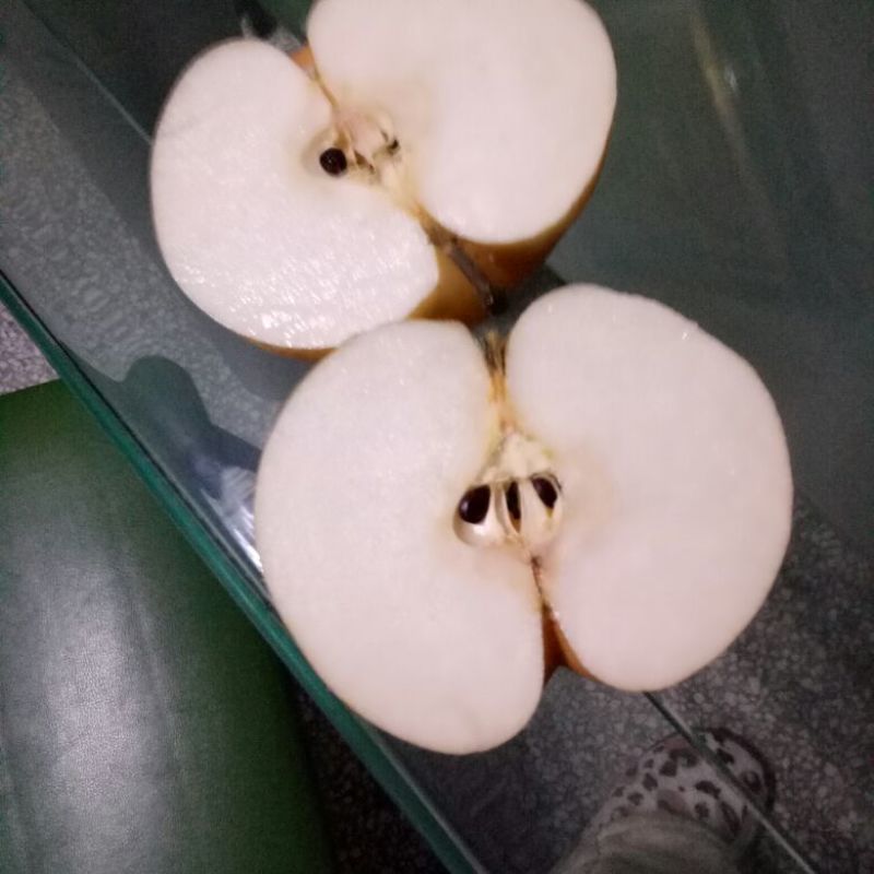 晚秋黄梨600g以上纸袋