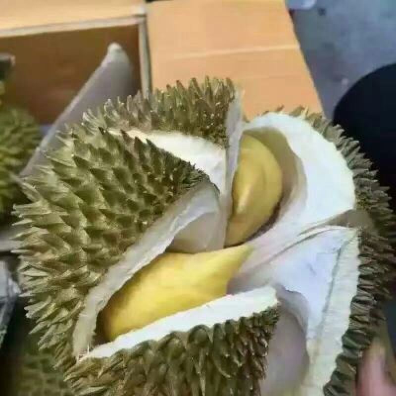 长柄榴莲3~5斤