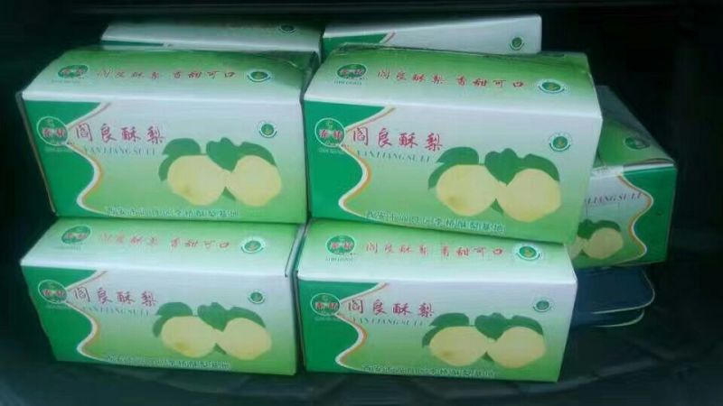 酥梨450~500g纸袋