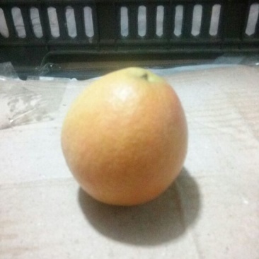 南果梨100~150g筐装