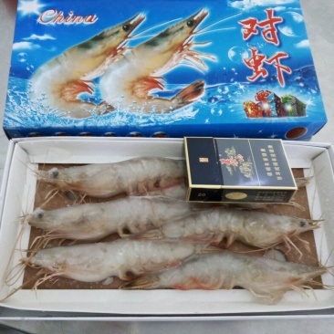 中国对虾