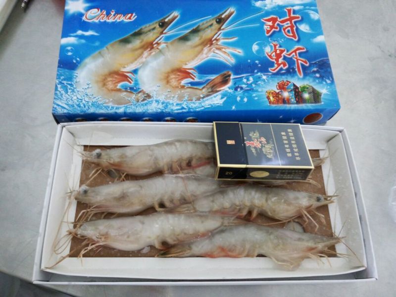 中国对虾