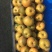 早酥红梨苗80cm以上0.8~3cm