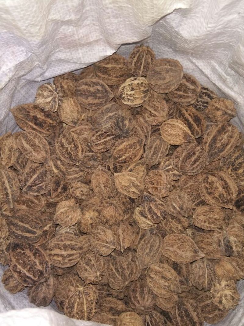 文玩核桃去皮后清洗纯干品