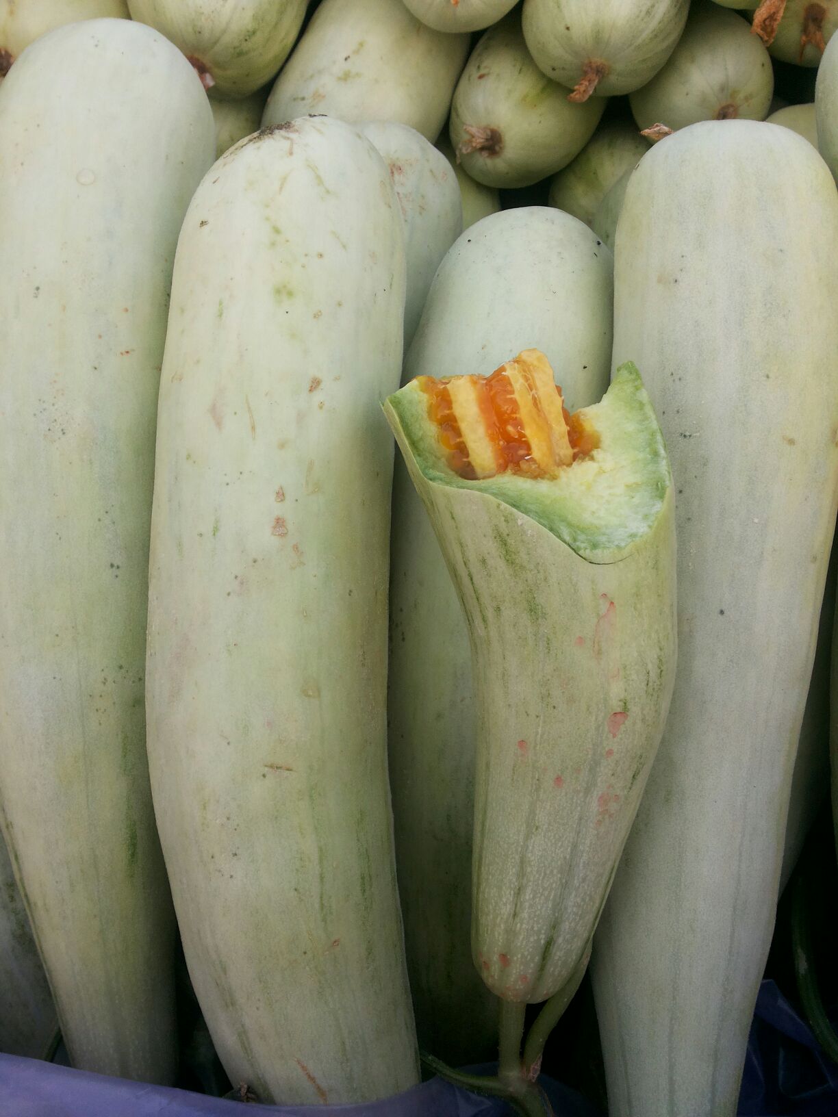 山东聊城市莘县羊角酥 1斤以上批发_刘增坤供