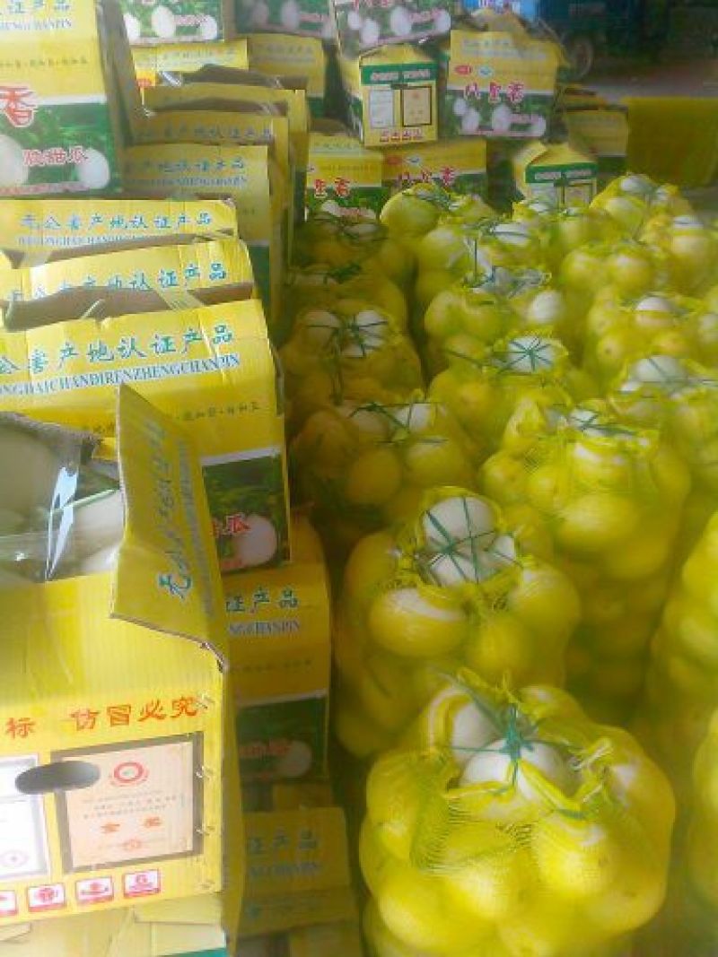 天蜜脆梨甜瓜1斤以上