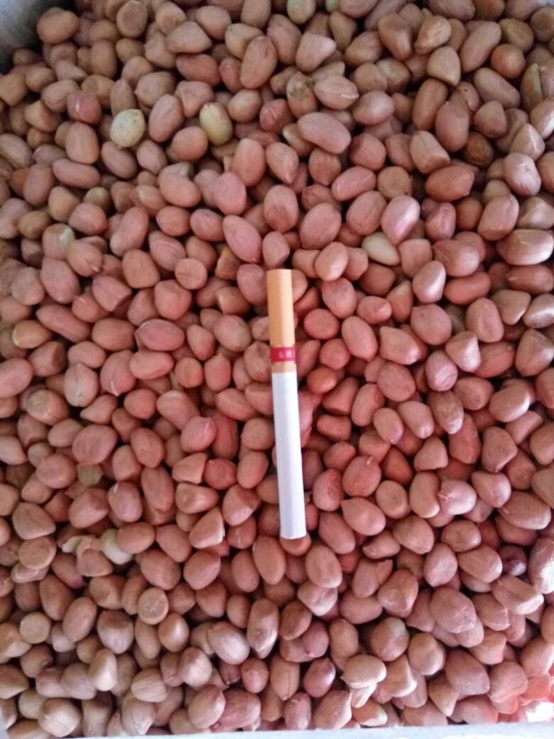 白沙系列