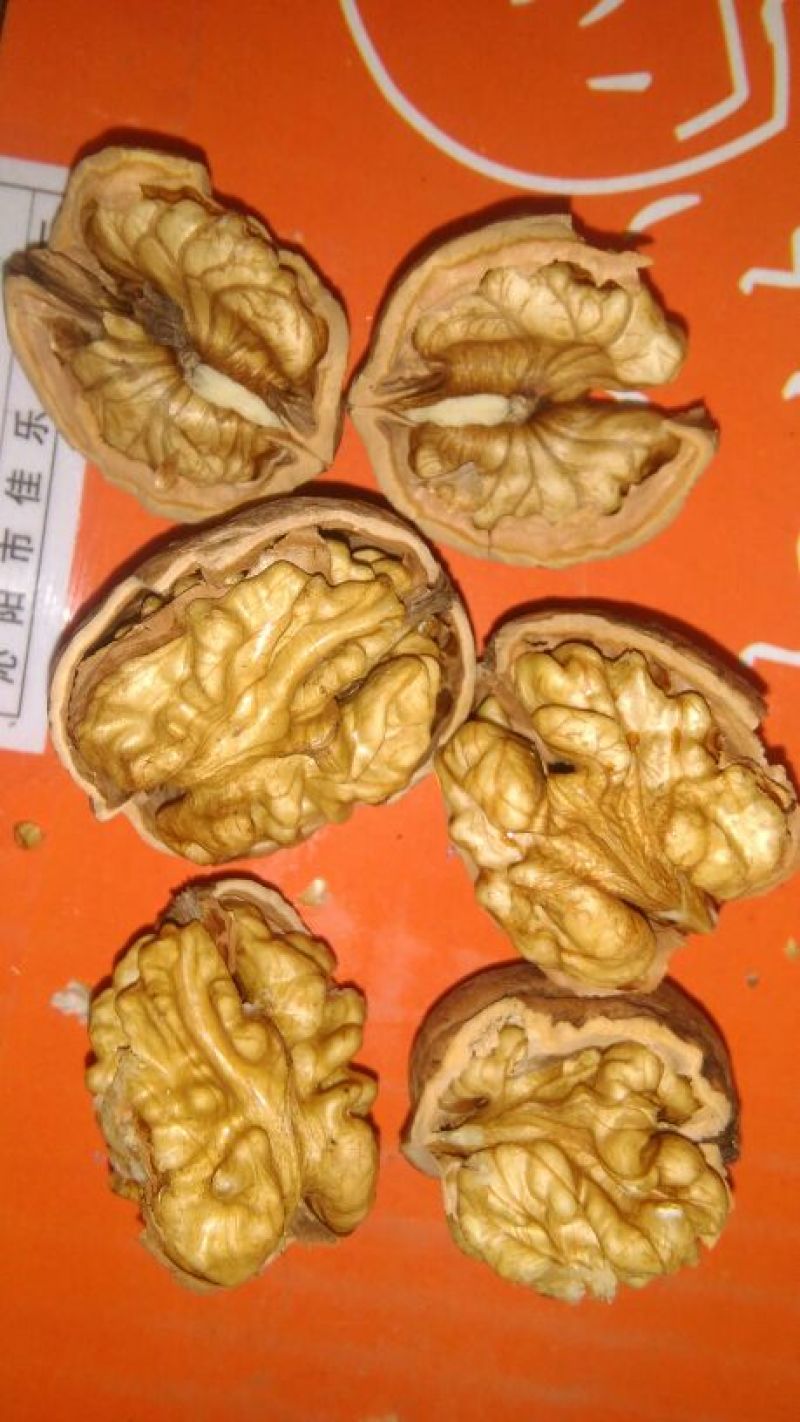 薄皮核桃去皮干