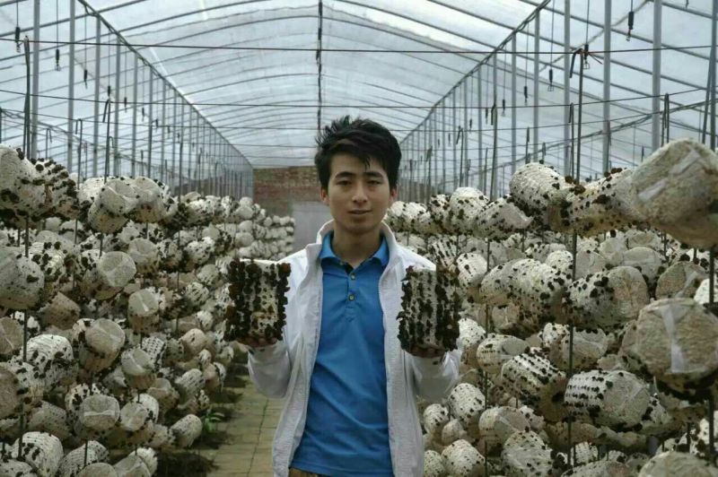 黑木耳特级