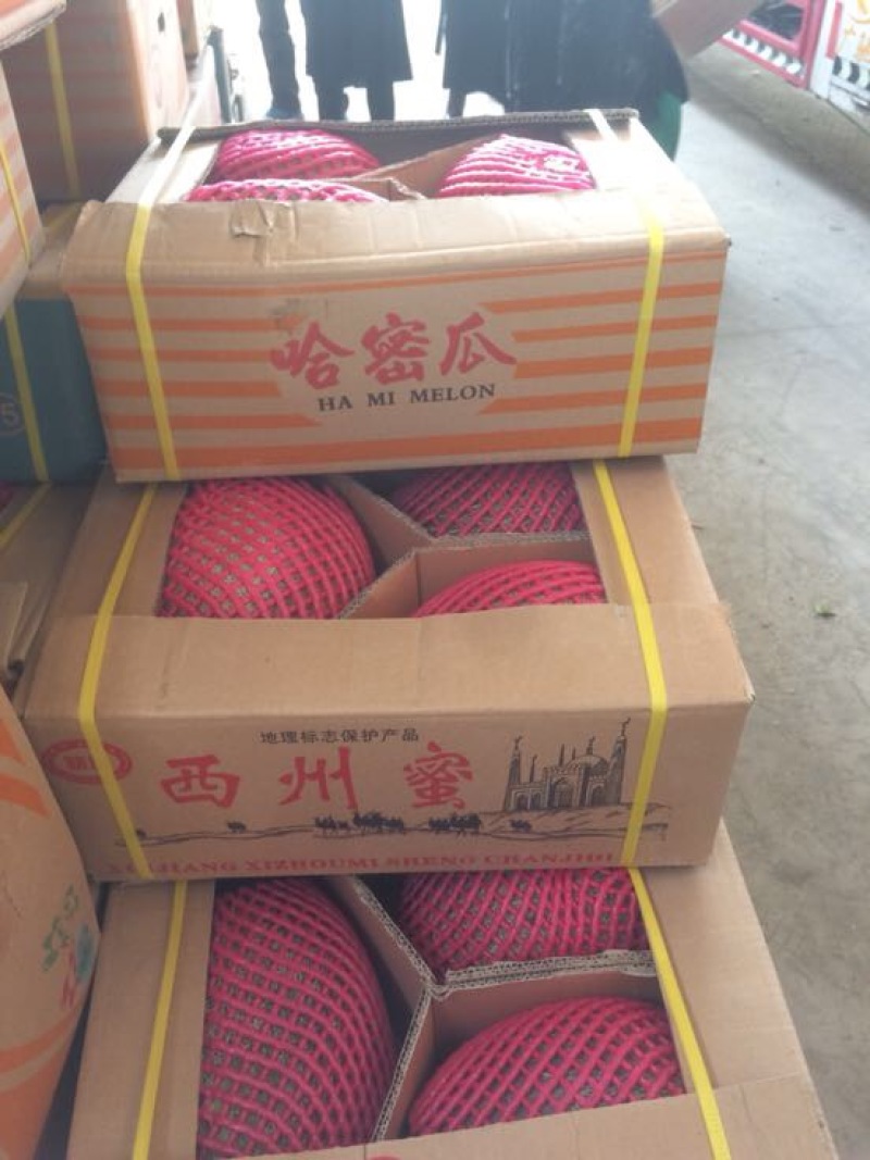 伽师瓜