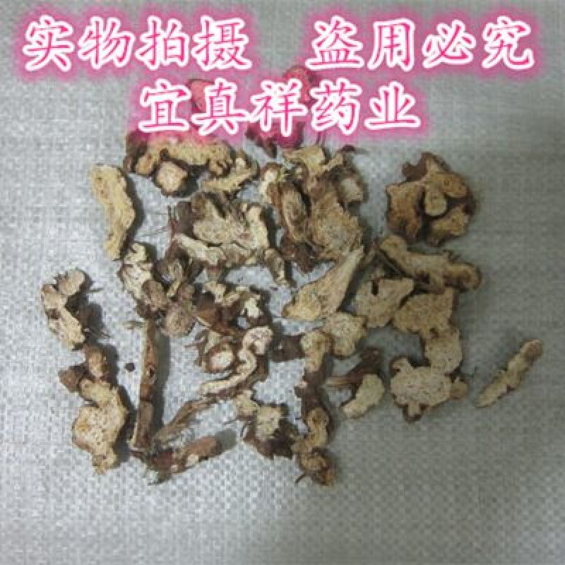 苍术