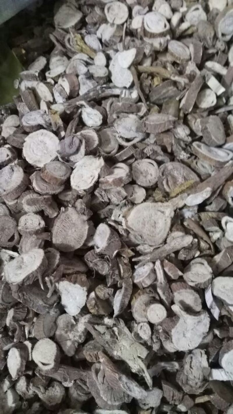 苦参统货