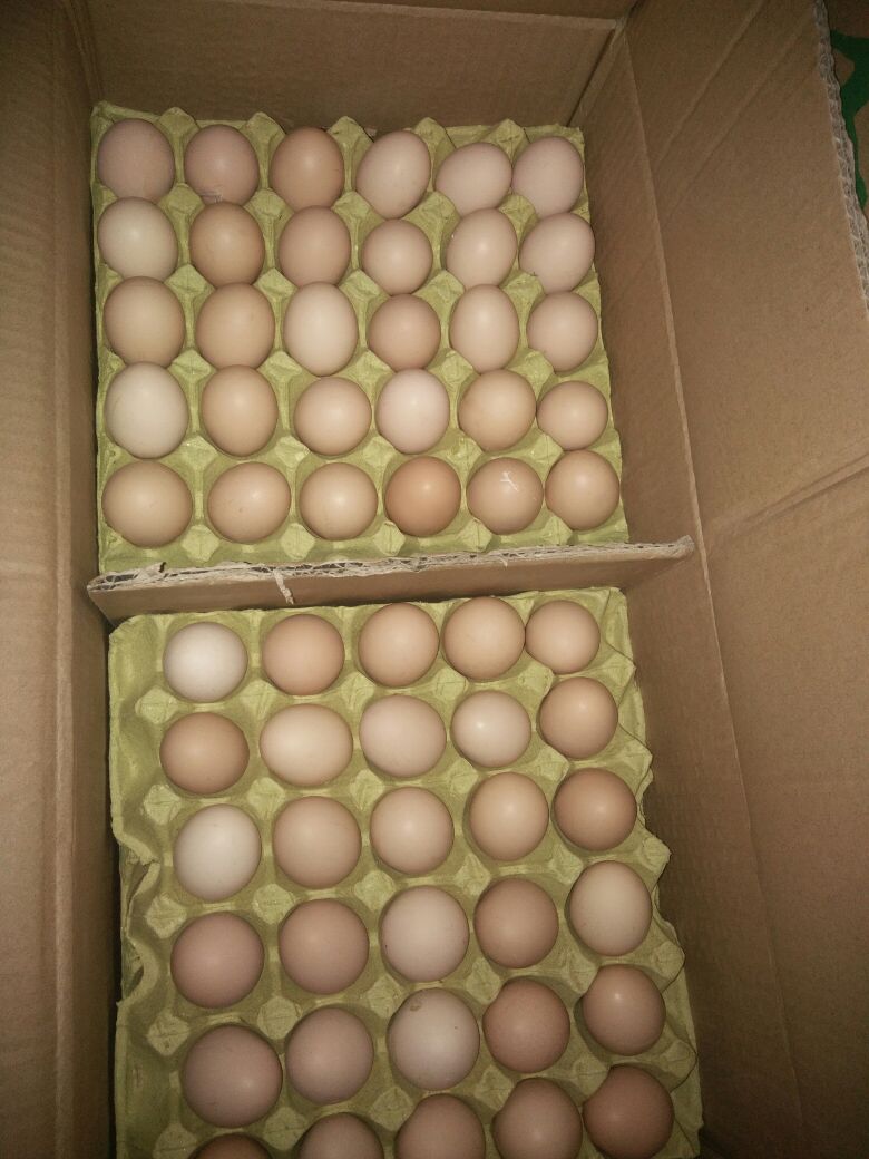 鸡蛋_用途:食用 单颗重:50g以下 等级:一级 包装