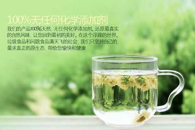 白菊花茶胎菊