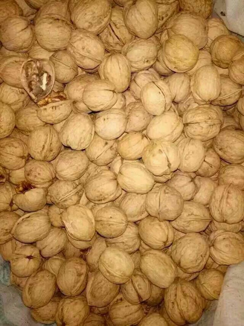 薄皮核桃去皮