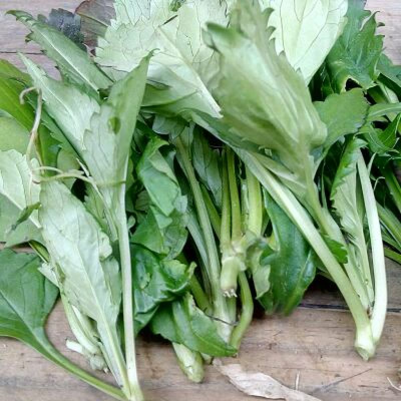 蔬菜