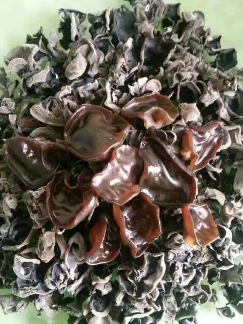 干木耳特级