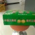 玉露香300~350g纸箱
