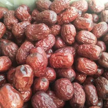 新疆红枣
