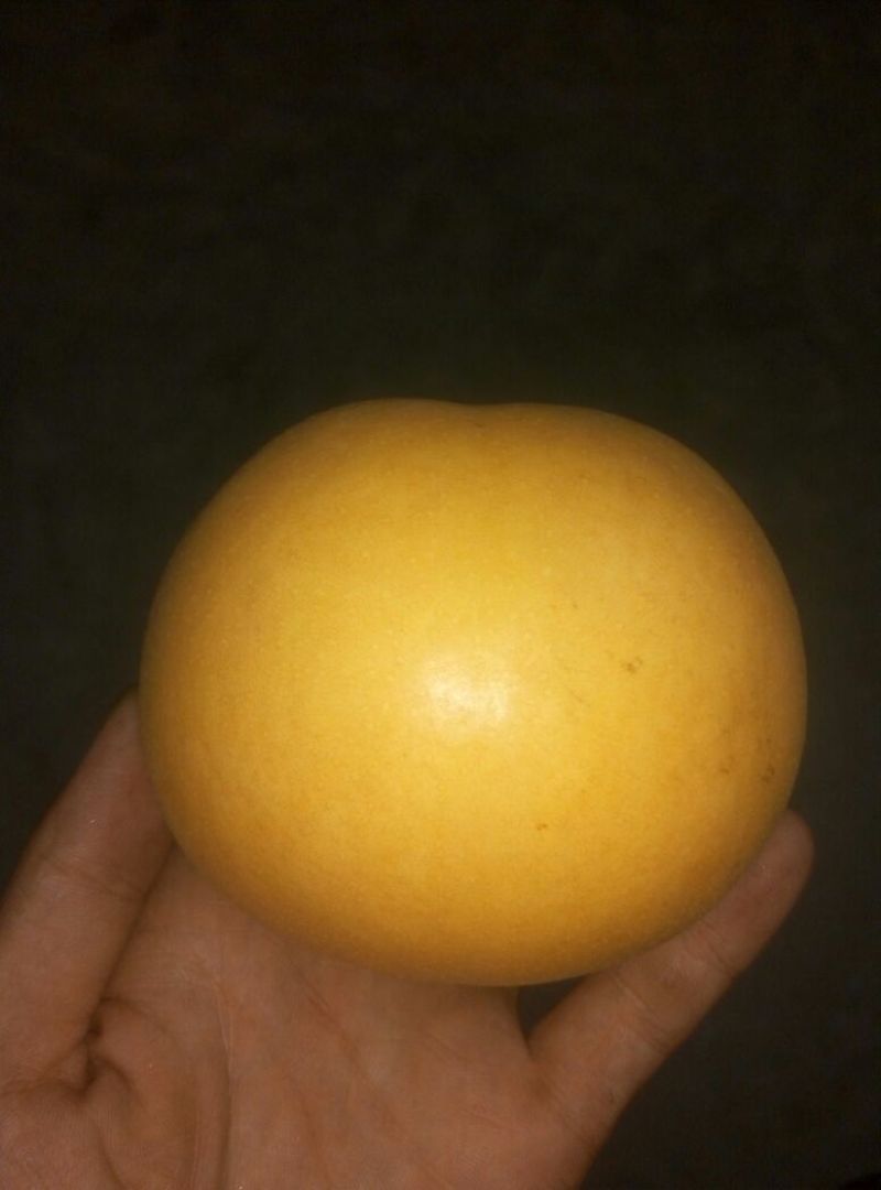 沙澧特晚秋黄梨450~500g纸箱