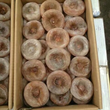 柿饼2~2.5两