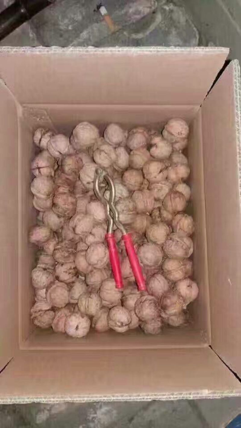 薄皮核桃去皮干