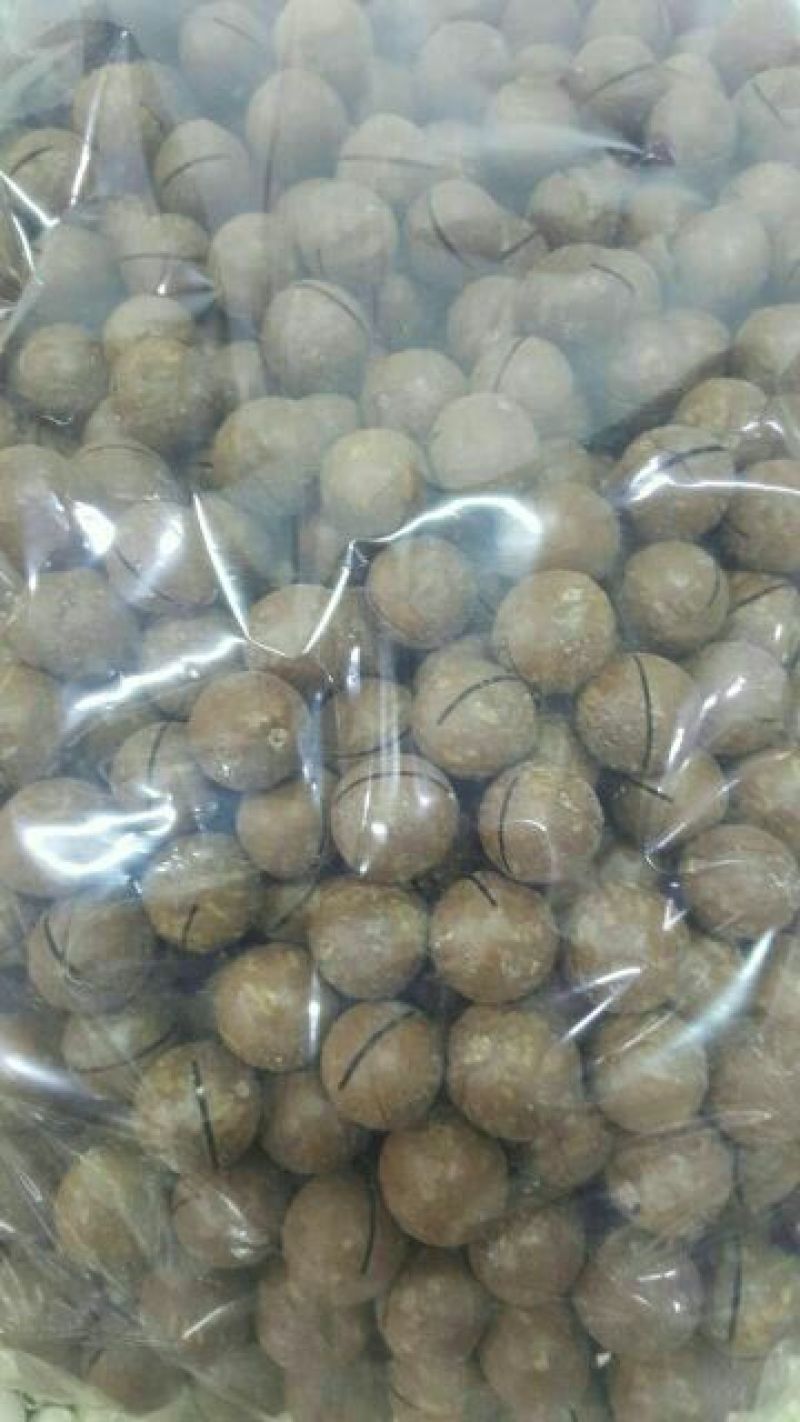 夏威夷果带壳