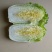 湖北嘉鱼潘家湾刘国林白菜，黄心白菜产地直销，诚信经营