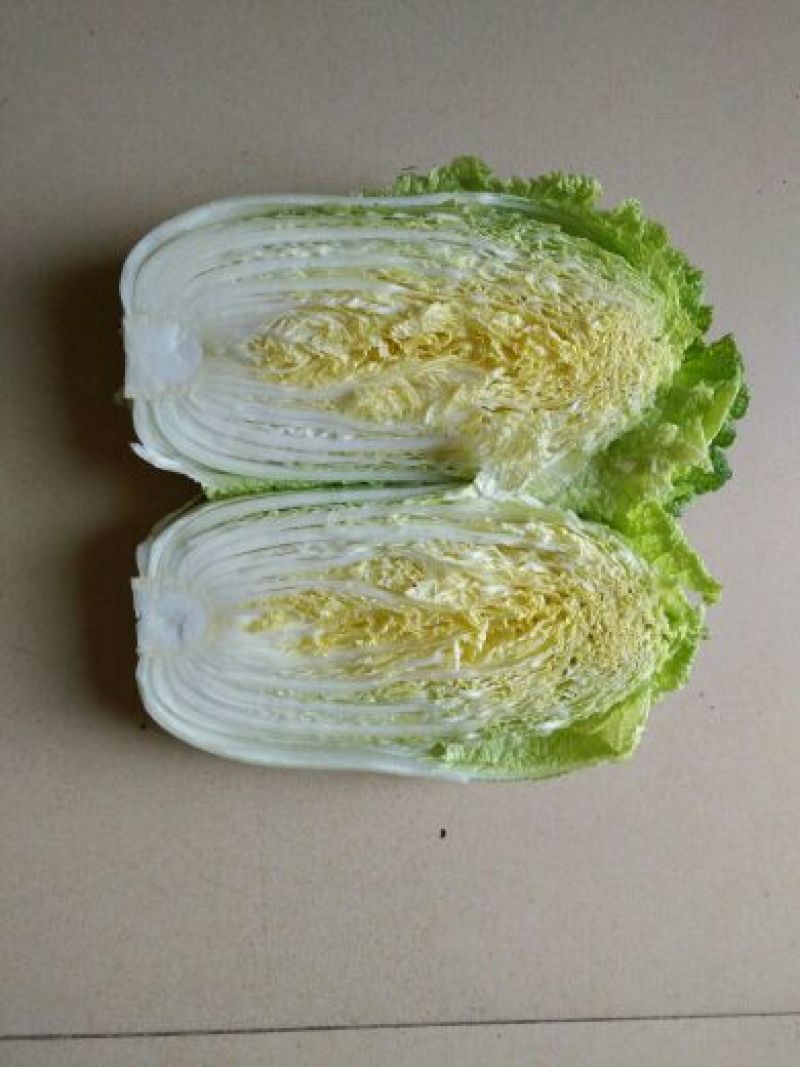 湖北嘉鱼潘家湾刘国林白菜，黄心白菜产地直销，诚信经营