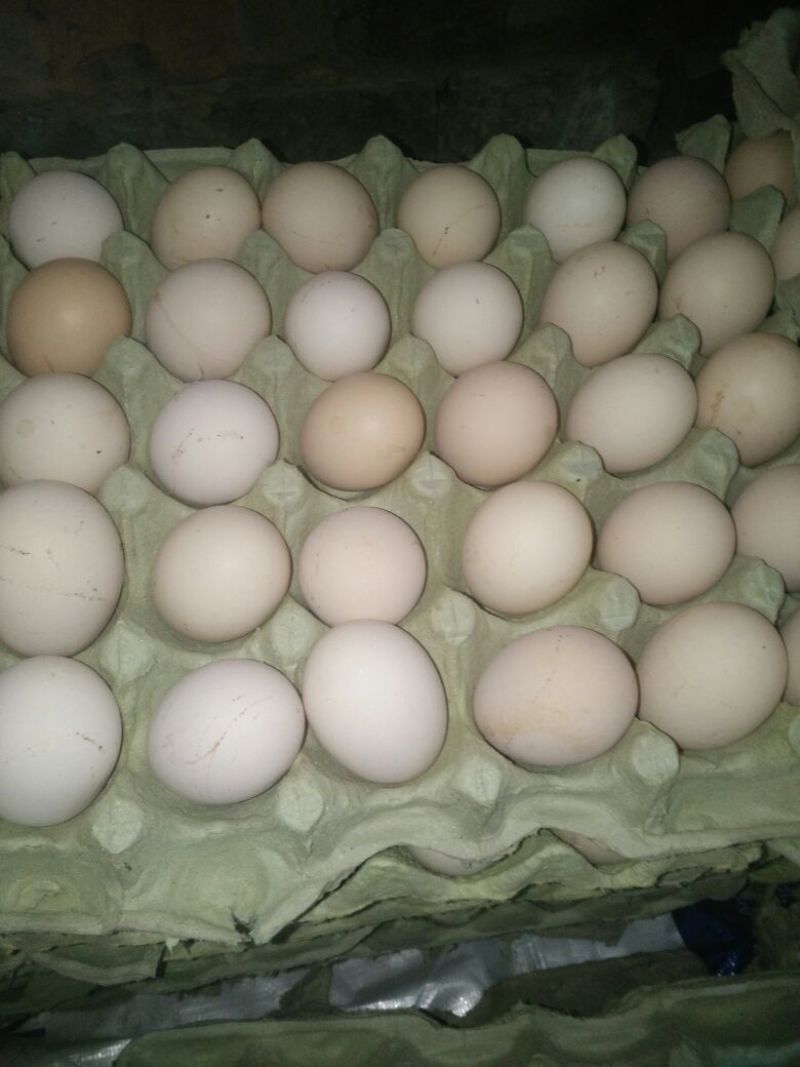 粉蛋食用50g以下
