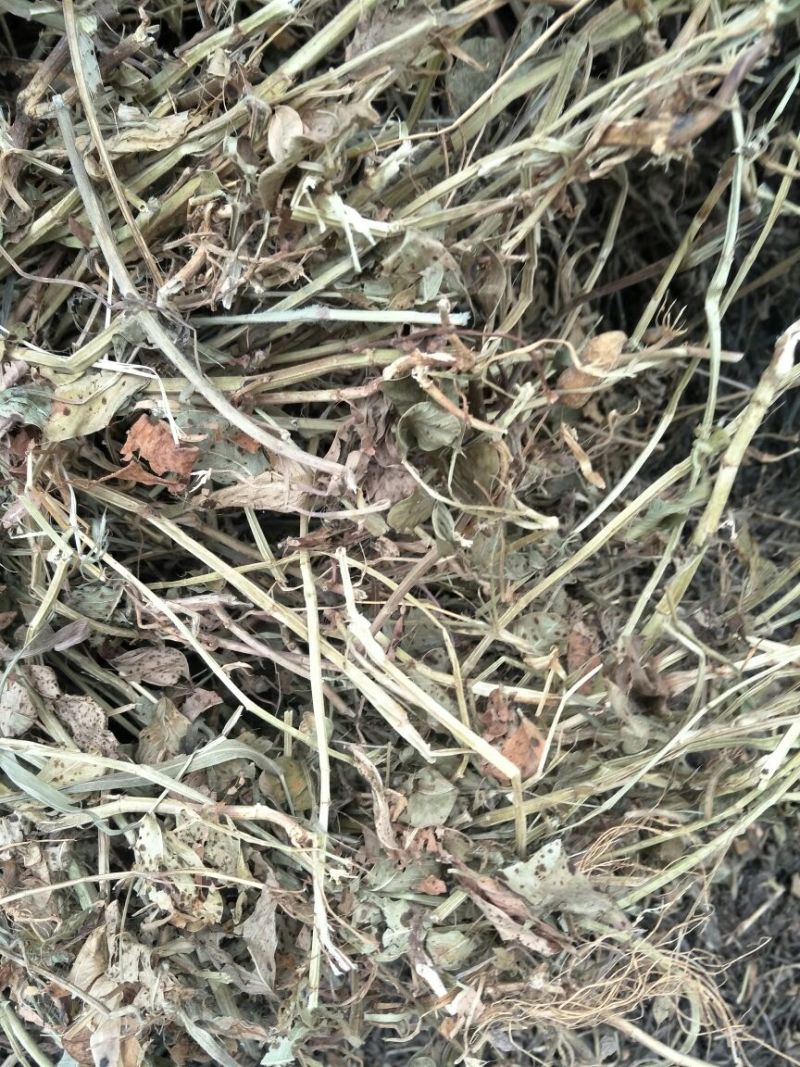 花生糠细糠