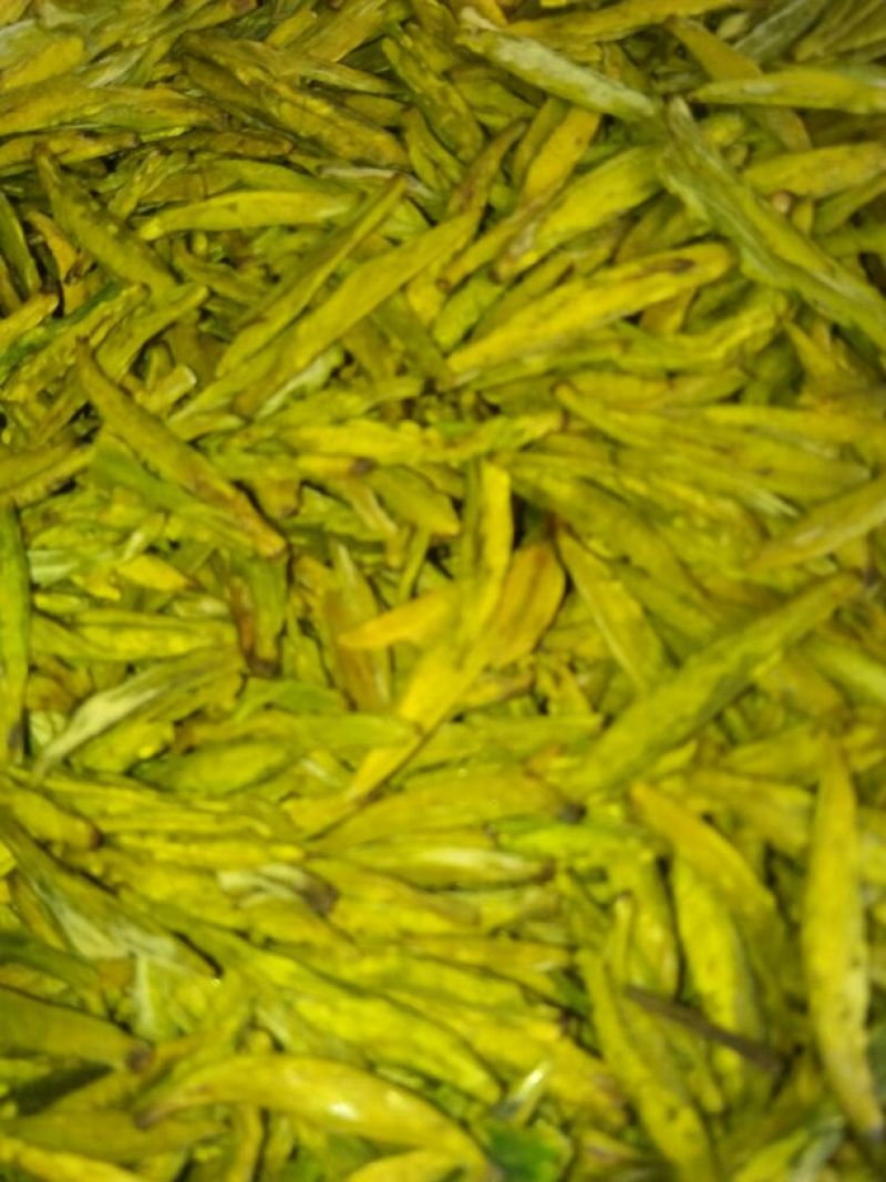川茶一级