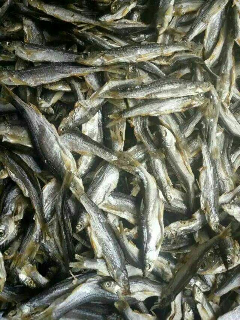 餐条鱼干