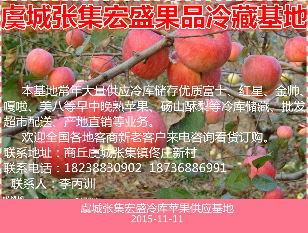 河南商丘市虞城县红富士苹果 75~80mm 膜袋批