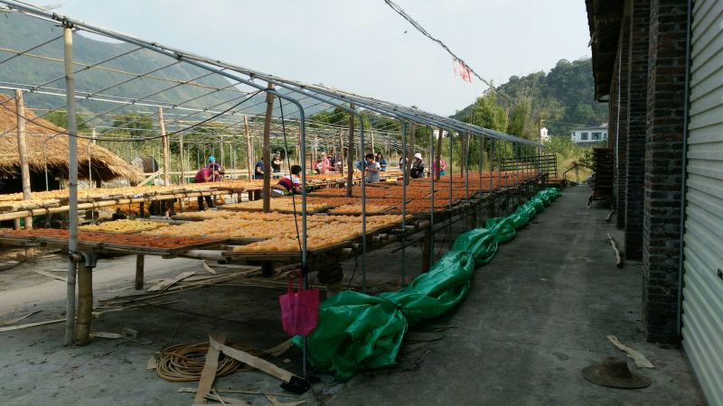 柿饼1~2两