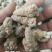 三七40头选货