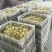 三花鹅苗250g以下