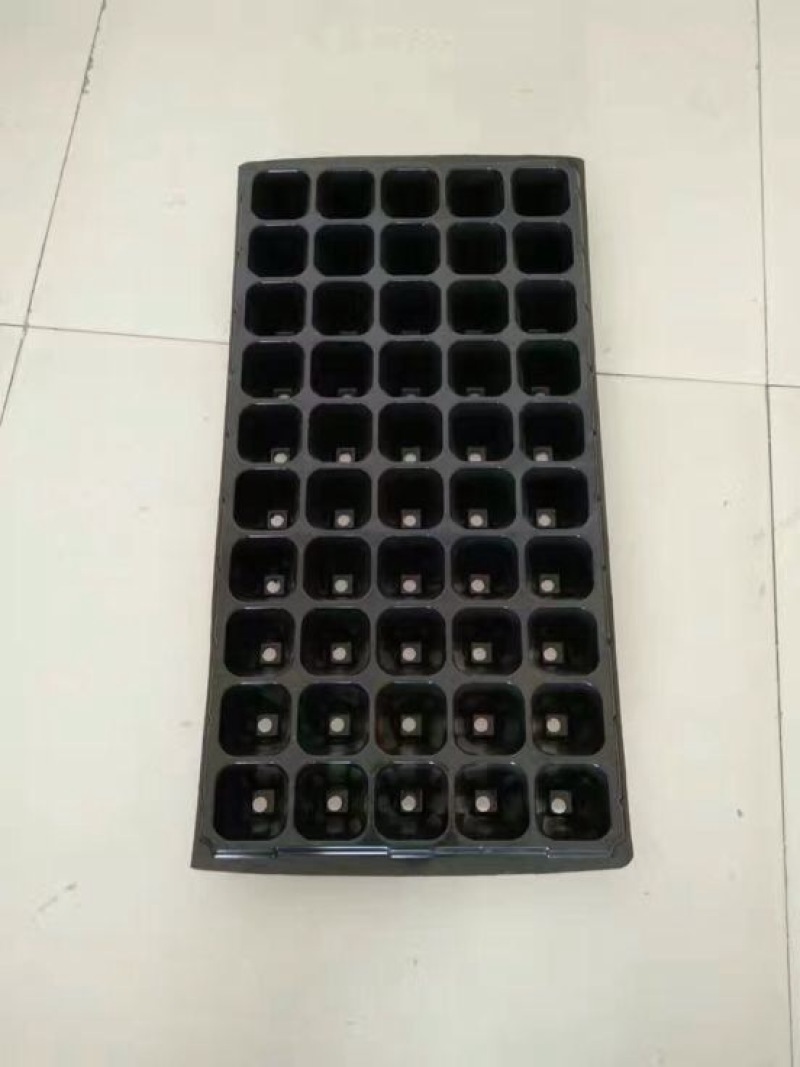 穴盘