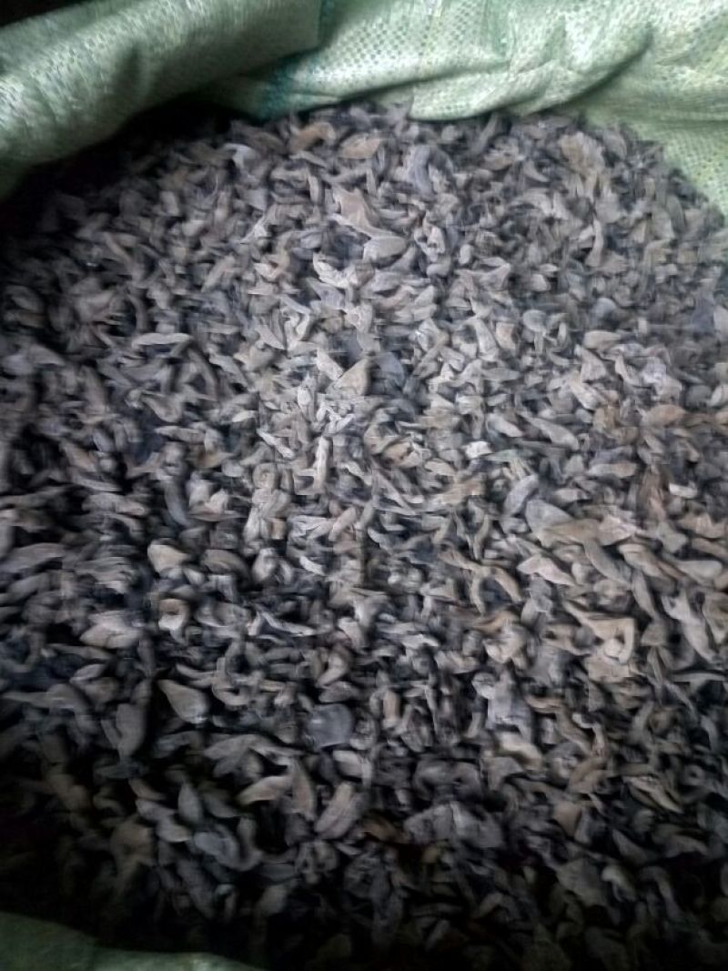 黑山秋耳一级