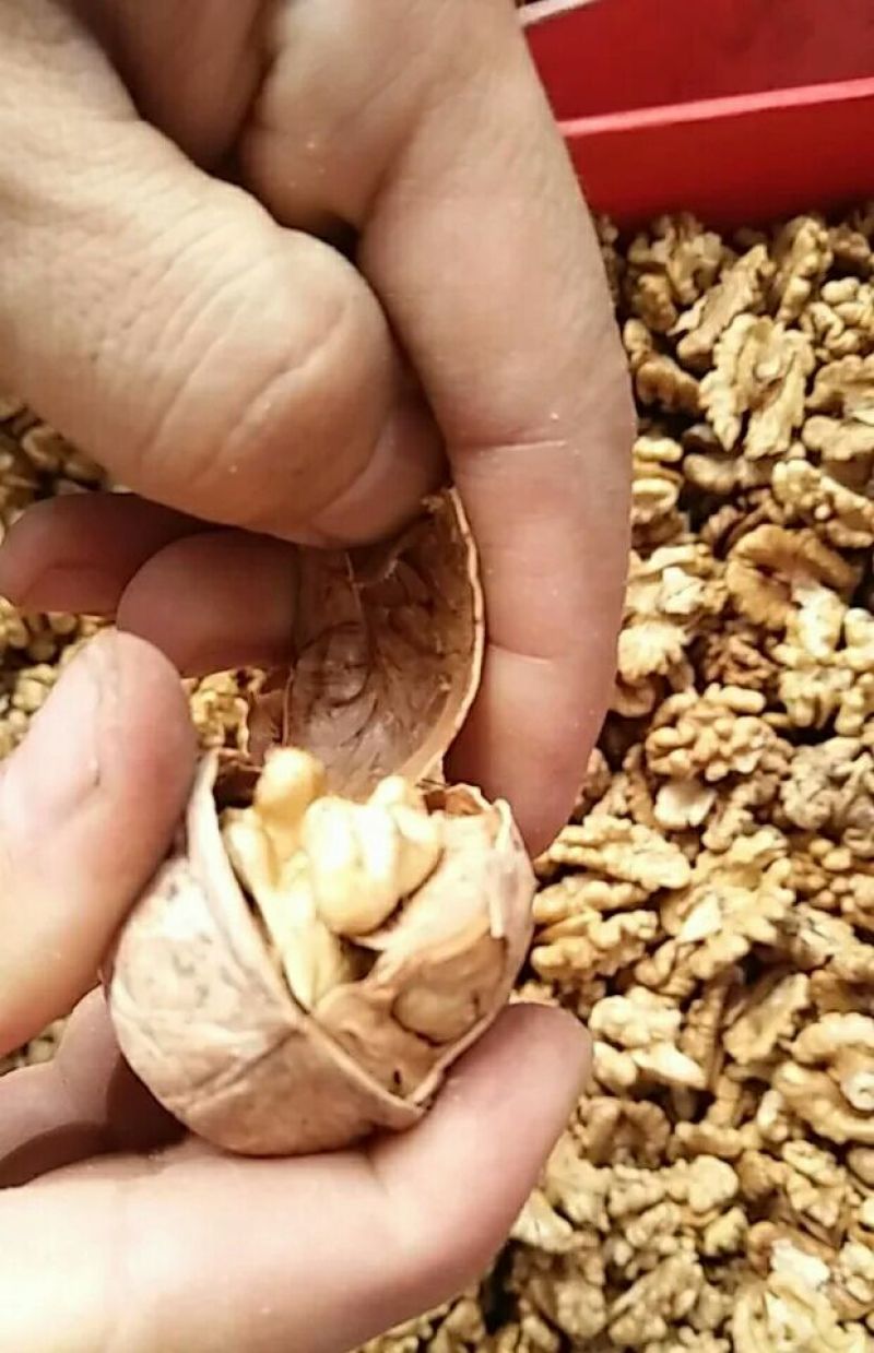 薄皮核桃去皮