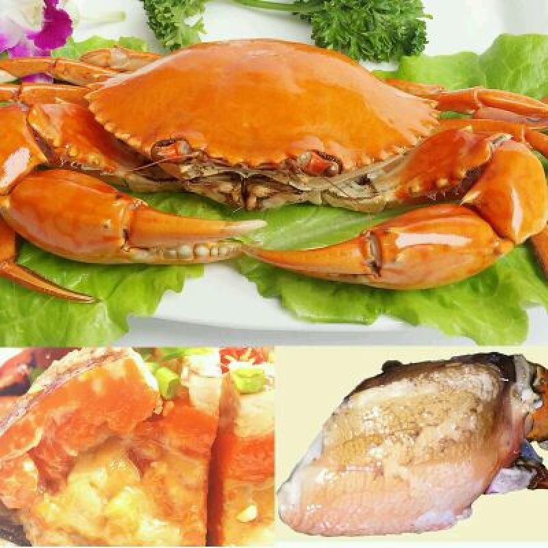 锯缘青蟹食用雄蟹