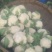 白花菜包装