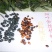 金丝楠木苗小叶桢楠苗出金丝率99%的优质木材
